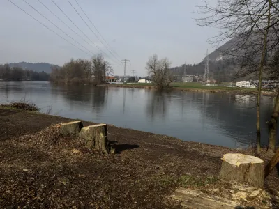 - 02.02.2023 - Marinovševa cesta v Ljubljani – posekana drevesa pod električnim daljnovodom pri reki Savi - //FOTO: Luka Cjuha