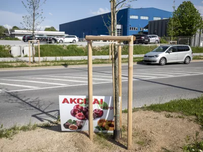 ﻿- 11.05.2021 – obcestna stojnica v Ljubljani Brdo - prodaja sadja in zelenjave ob cestah, //FOTO: Matjaž Rušt