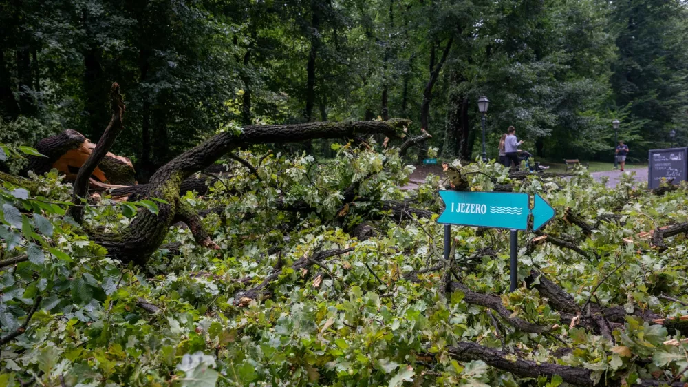 Razdejanje v parku Maksimir, v Zagrebu.