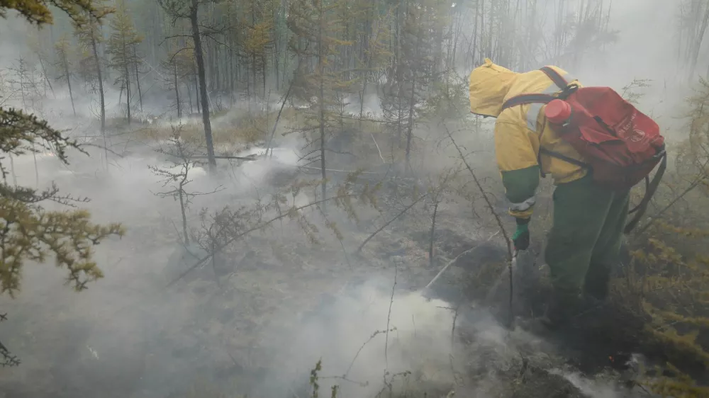 A specialist of Russia's Aerial Forest Protection Service works to extinguish a wildfire in a wood belt in the Sakha Republic, also known as Yakutia and located in the northeastern part of Siberia, Russia July 16, 2024. REUTERS/Roman Kutukov