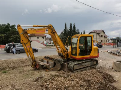 ﻿- japonski dresnik - trdoživi plevel iz vzhodne Azije na območju Most v Ljubljani - Zaloška cesta - bager   - 14.06.2016 - - Agresivne tujerodne rastlinske vrste v Sloveniji - invazivna tujerodna vrsta - invazivne rastline -  ///FOTO: Luka Cjuha.