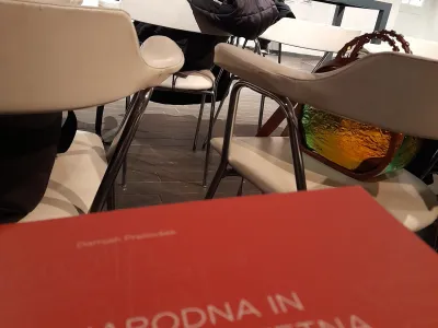 Monografija je delo prof. dr. Damjana Prelovška, mednarodno priznanega raziskovalca in avtorja številnih monografij, znanstvenih člankov in drugih prispevkov o Plečnikovem življenju in delu. 