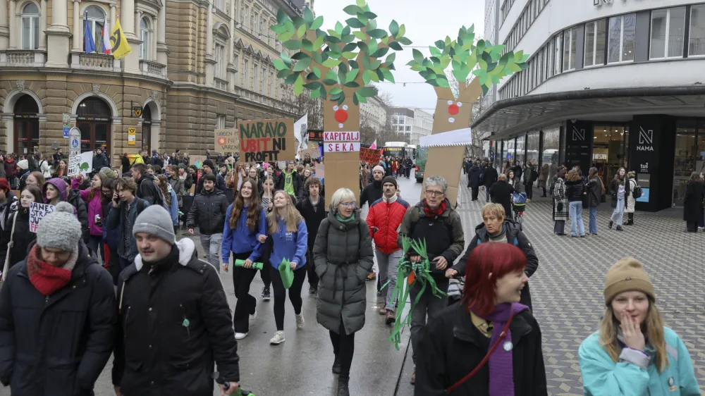 Protestniki so svoje zahteve predstavili najprej na Kongresnem trgu, nato pa se ob vzklikih »Nočemo životarit', hočemo živet'« podali na Slovensko cesto.