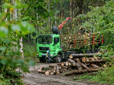 ﻿- 17.09.2015 - Kočevski rog - kočevski gozdovi - gozdarstvo - posek in odstranitev poškodovanega drevja iz gozda - lubadar - les - gozd - gozdarji//FOTO: Tomaž Skale