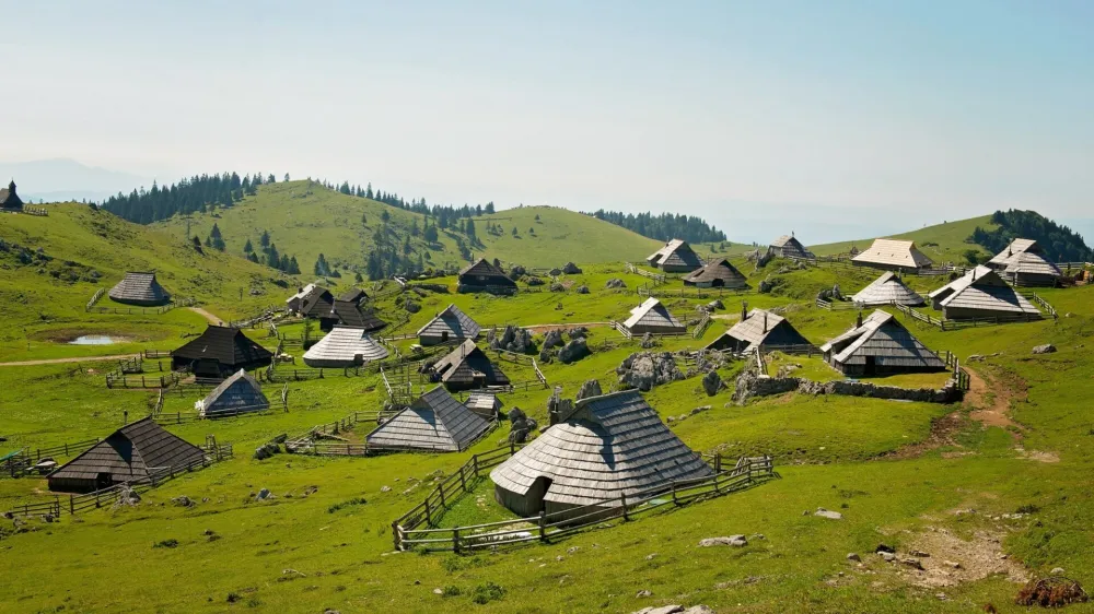 Pašniki v naselju Velika planina