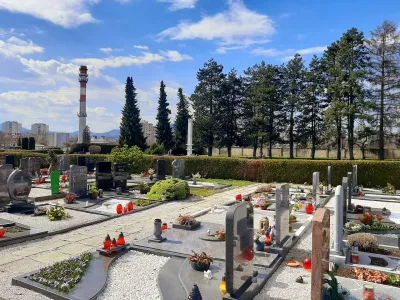 Na kranjskem pokopališču morajo najpozneje do konca meseca odstraniti štirinajst smrek, ki kažejo znake napada podlubnikov. 