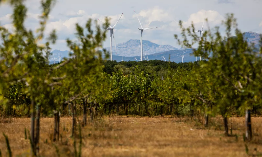 - Vetrna elektrarna, obnovljivi viri energije.- 24.07.2024. - VE Ljubač. - Vetrna elektrarna Ljubač v bližini Knina na Hrvaškem, v lasti Petrola, sestavlja 9 vetrnic vsaka po 3,6 MW, Celotna elektrarna ima 32,4 MW skupne nazivne moči in 85-90 GWh predvidene letne proizvodnje energije.//FOTO: Bojan VelikonjaOPOMBA: ZA OBJAVO V OBJEKTIVU!!!!