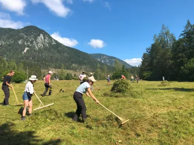 Medtem ko so sodelavci iz TNP kosili travnik, so travo dijaki in študenti grabili na kupe. Foto: Eva Branc