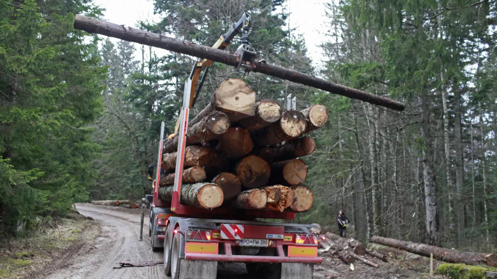 Prihodki v lesnopredelovalni industriji so se lani znižali za sedem odstotkov. Fotografija je simbolična. Foto: Luka Cjuha 