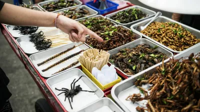 ﻿Closeup of hand ordering cooked insects in Thailand street food stall