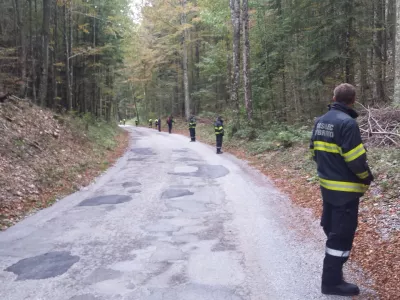 ﻿Predmeja, strmoglavljenje letala, iskalna akcija manjkajočega repa letala