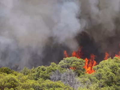 06.08.2024., Sibenik - Nesto prije 13 sati izbio je pozar u borovoj sumi u sibenskom naselju Rokici, odmah pokraj bolnice i stambenih kuca. Na terenu su vatrogasci i policija, a pozvana je i pomoc iz zraka. Suma se nalazi iznad Jadranske magistrale koja je zbog pozara zatvorena za sav promet. Photo: Dusko Jaramaz/PIXSELL