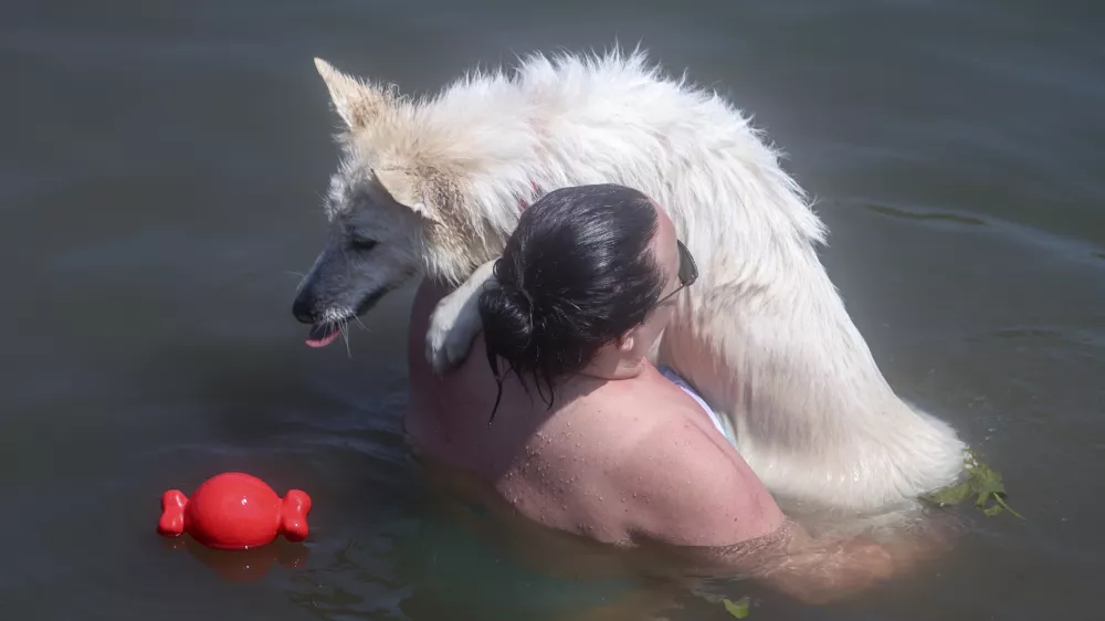 - 21.07.2024 - reportaža Podpeško jezero - poletje, vročina, kopanje, hlajenje, kopalci, obiskovalci, ljudje //FOTO: Jaka Gasar