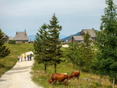 Velika planina