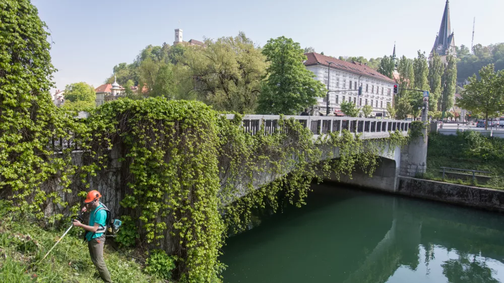 ﻿- 20.04.2016 - Simbolična fotografija - Šentjakobski most - košenje trave ob Ljubljanici - delo - čiščenje - košnja -   ..//FOTO: Maja Marko  