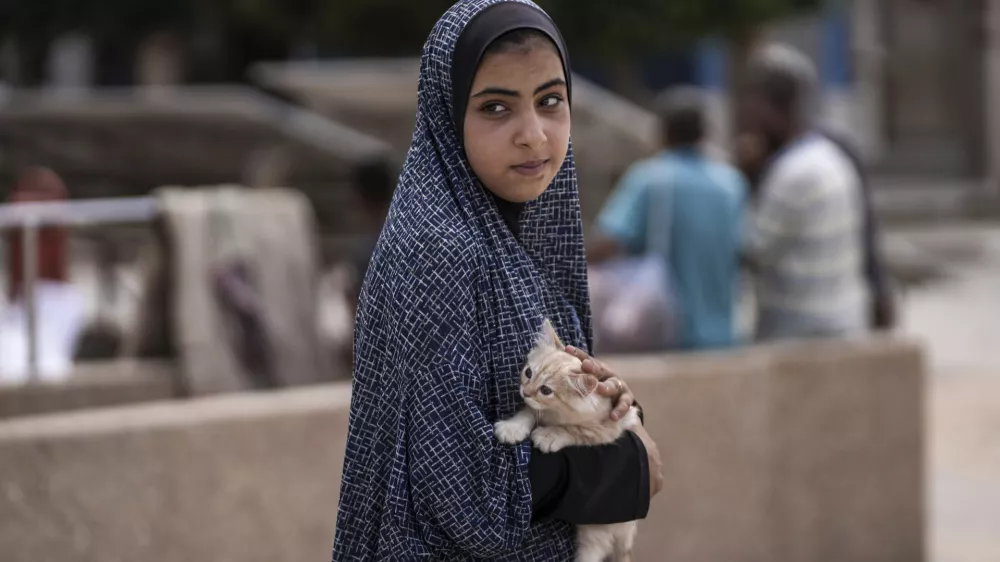 A Palestinian girl carries her cat as she evacuates a school that had been her shelter, in eastern Deir al-Balah, Gaza Strip, Friday, Aug. 16, 2024, after the Israeli military dropped leaflets asking civilians to evacuate from the area, saying forces plan to respond to rocket fire that targeted Israel. (AP Photo/Abdel Kareem Hana)