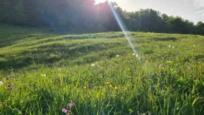 Narava pomlad april sonce travnik