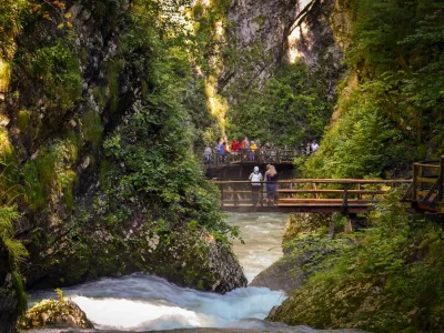 The Vintgar Gorge or Bled Gorge is a 1.6-kilometer gorge in northwestern Slovenia in the municipalities of Gorje and Bled. / Foto: Pedro Costa Simeao