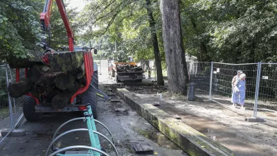 Na ljubljanski občini zagotavljajo, da bo mostiček med Koseškim bajerjem in Žabjo ulico po prenovi varnejši za uporabo. Foto: Jaka Gasar