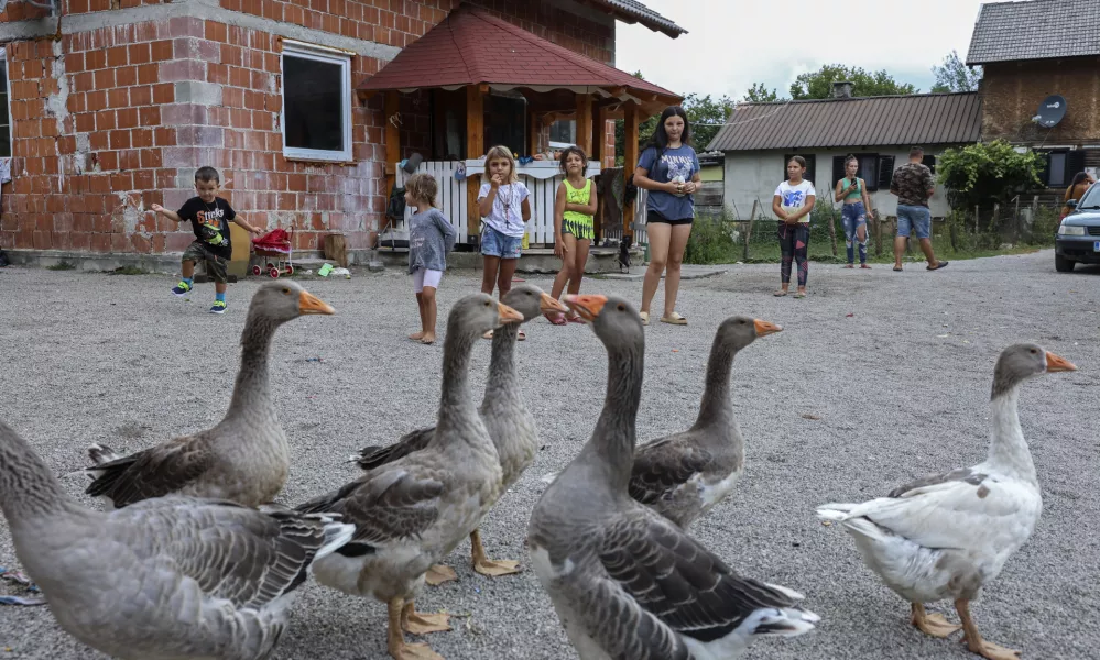 - 19.08.2024 - Romsko naselje Otavice - problematika pitne vode //FOTO: Jaka Gasar