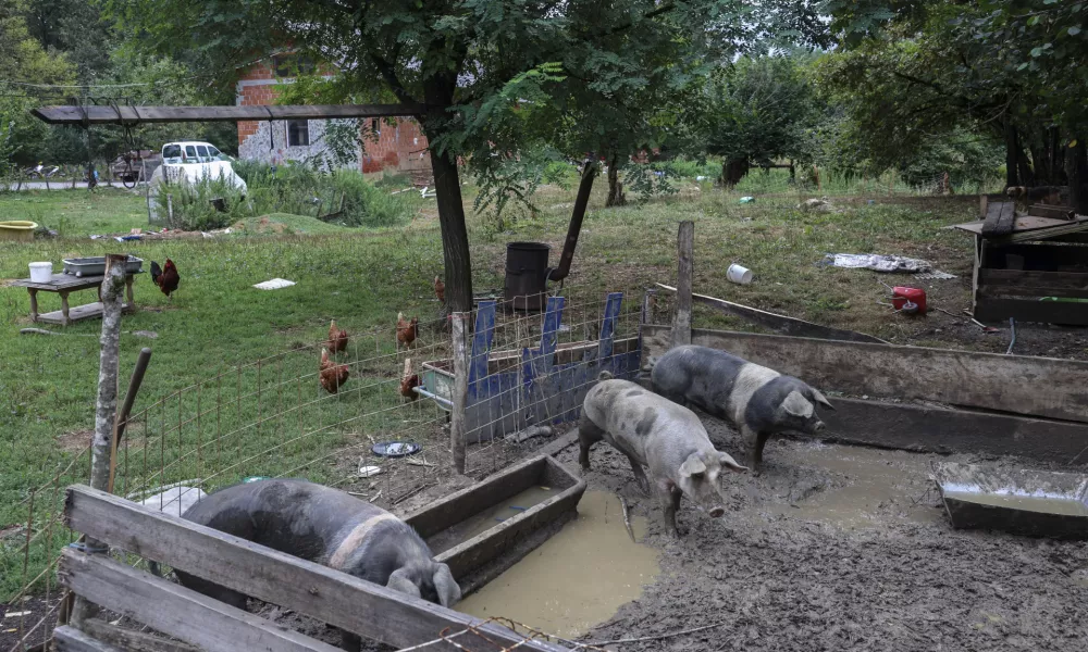 - 19.08.2024 - Romsko naselje Otavice - problematika pitne vode //FOTO: Jaka Gasar