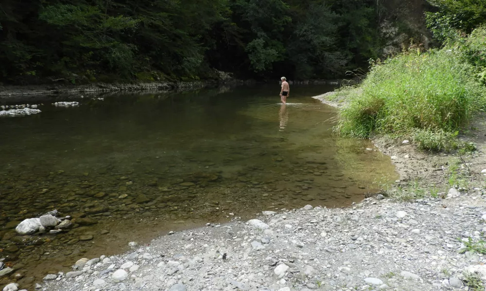 Selška Sora, naravno kopališče / Foto: Katja Petrovec