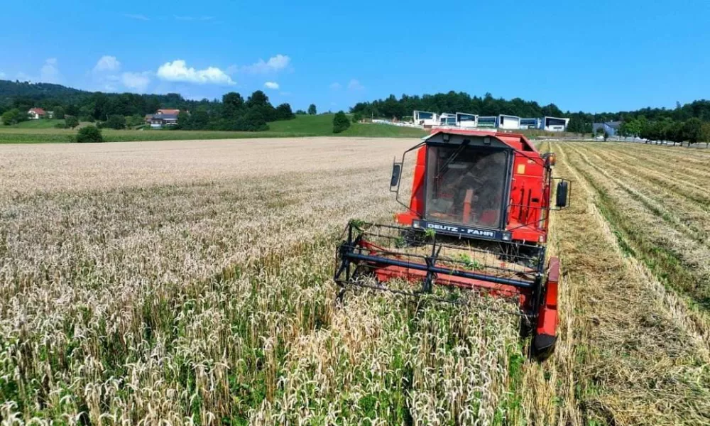 Delo na njivi stiškega samostana / Foto: Meta Černoga