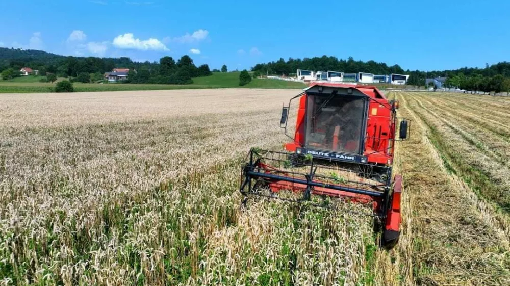 Delo na njivi stiškega samostana / Foto: Meta Černoga