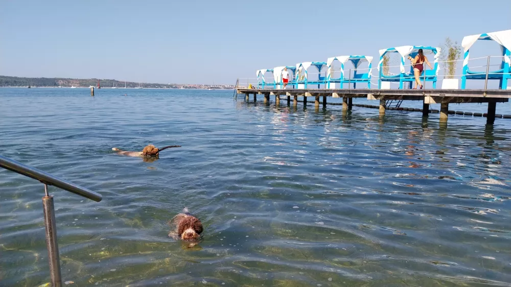 Monty beach Pasja plaža v Portorožu