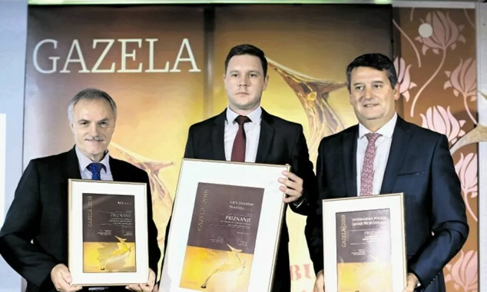 Lanski nominiranci za regijsko gazelo: KGL, direktor Bojan Železnik (levo), GKN Driveline Slovenija, direktor Peter Smole (na sredini), in Veterinarska postaja Š marje pri Jelšah, direktor Tomi Rumpf (desno) (Foto: Bojan Velikonja)