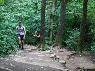 - 17.06.2020  marna gora  pot čez Spodnjo Kuhno - pot čez korenine //FOTO: Bojan Velikonja