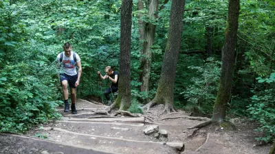 - 17.06.2020  marna gora  pot čez Spodnjo Kuhno - pot čez korenine //FOTO: Bojan Velikonja