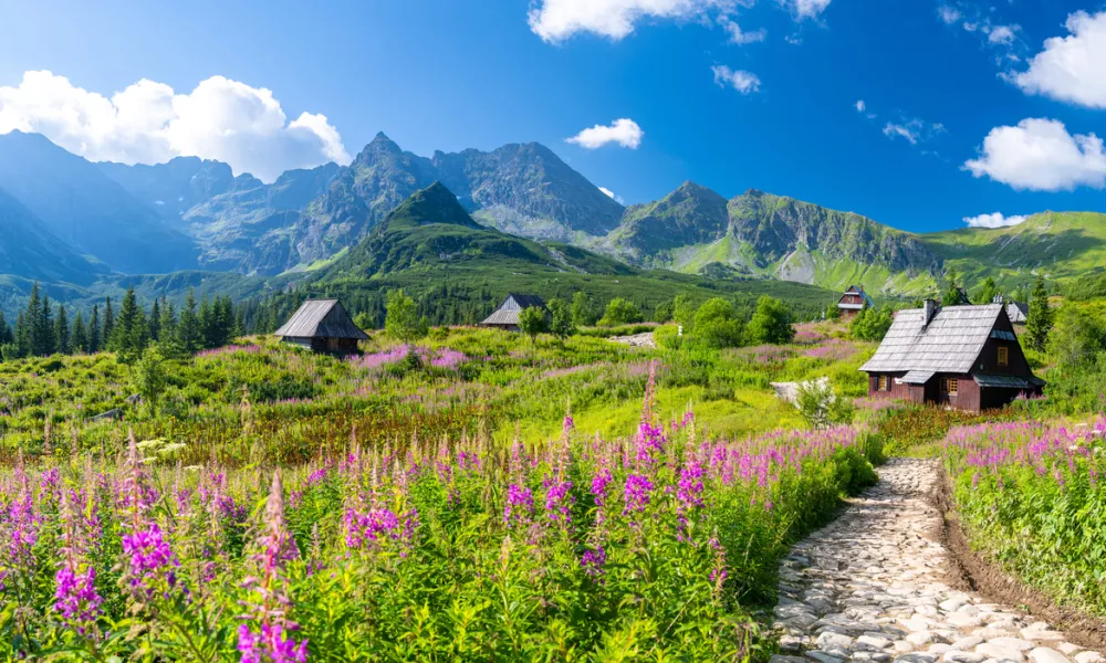 amazing landscape of Tatra Mountains in Poland during summer