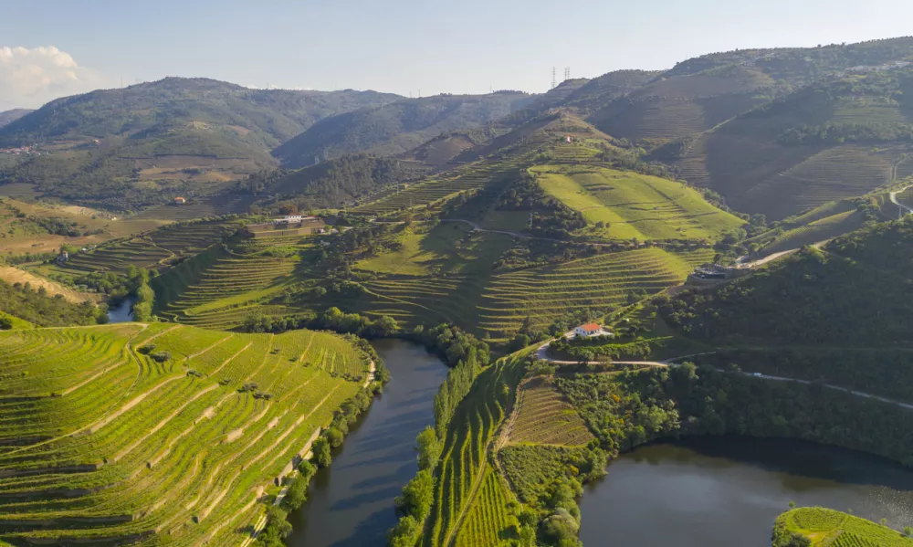 Douro river wine valley region drone aerial view, in Portugal