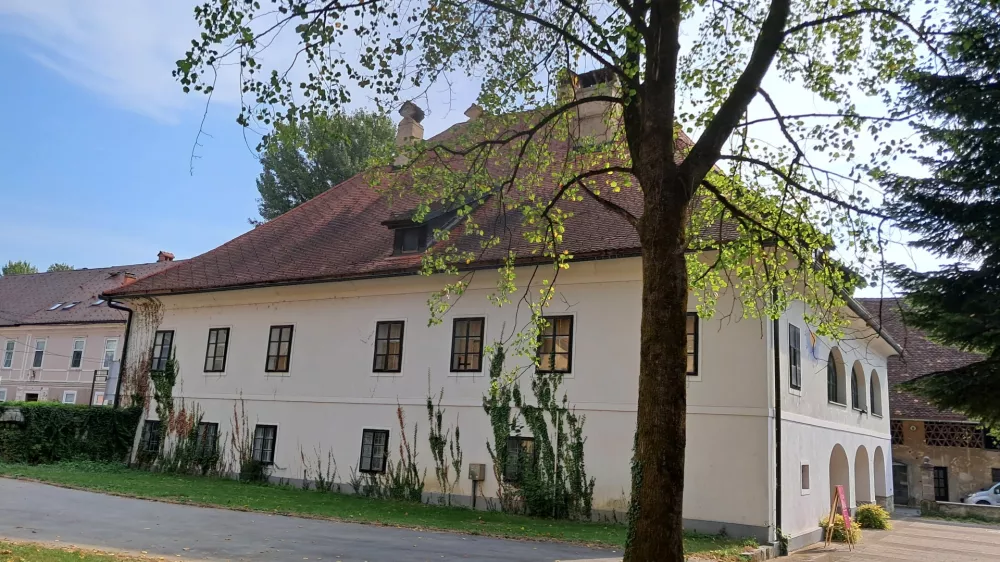 Občina Vrhnika želi prenoviti dvorec in ga povezati s širšim mestnim središčem. Foto:  Miha K. Turk