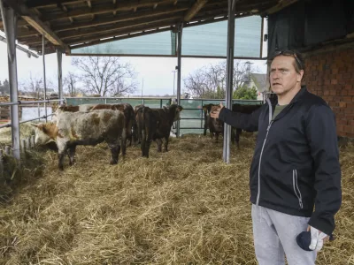 Rejec Rudi Možgan bo moral morebitno odškodnino zaradi odvzetih in nato vrnjenih živali terjati po sodni poti. Foto: Luka Cjuha 