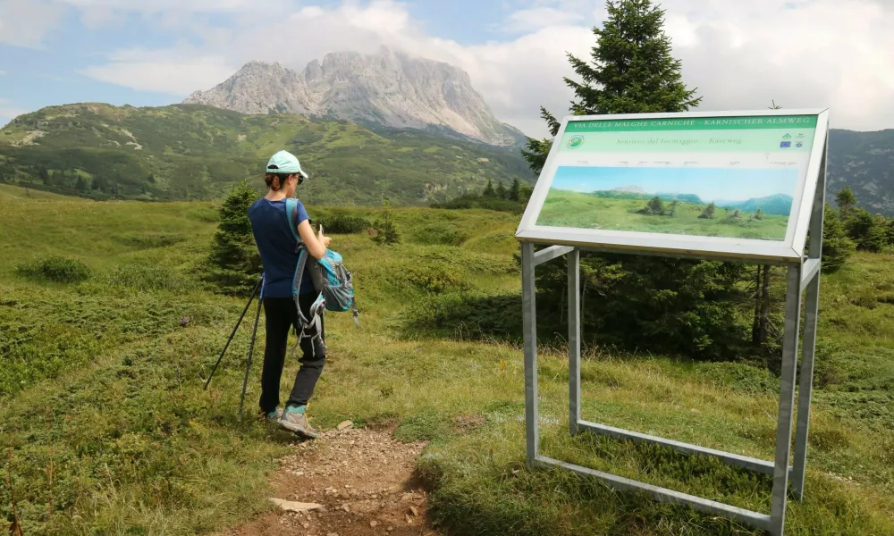 Informativne table na poti s prelaza Lonice proti Velikemu Koritniku. F Irena Mušič Habjan