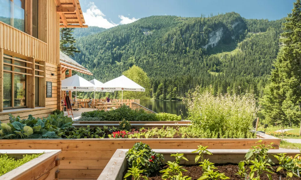 Koča Kohlröserlhütte ob jezeru Ödensee