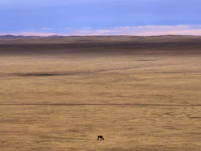 A lone horse grazes in the Munkh-Khaan region of the Sukhbaatar district, in southeast Mongolia, Saturday, May 13, 2023. Chronic drought plagues Mongolia. So does warming. Since 1940, the country's government says, average temperatures have risen 2.2 degrees Celsius (nearly 4 degrees Fahrenheit) — a measure that may seem small, but for global averages, scientists say every tenth of a degree matters, and a warming world brings more weather extremes. (AP Photo/Manish Swarup)