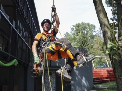 Drevesni plezalec oziroma negovalec je zahteven in odgovoren poklic, ki zahteva strokovno znanje plezanja in arboristike. Neizkušena oseba lahko poškoduje tako sebe kot drevo, ki ga obrezuje. Foto: Jaka Gasar