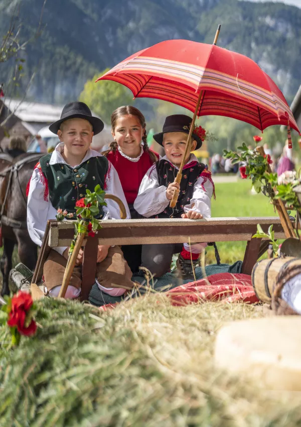 Kravji bal na Bohinju F Mojca Odar