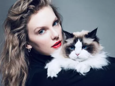 Taylor Swift je svojo objavo podpore Kamali Harris pospremila s pripisom: »Z ljubeznijo in upanjem, Taylor Swift – mačja gospa brez otrok.« Foto: instagram/taylorswift