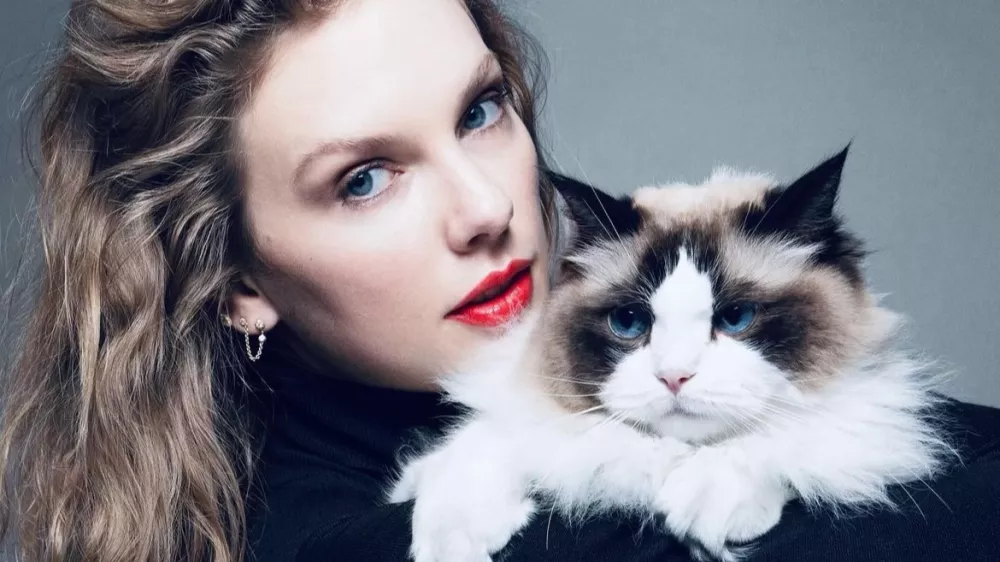 Taylor Swift je svojo objavo podpore Kamali Harris pospremila s pripisom: »Z ljubeznijo in upanjem, Taylor Swift – mačja gospa brez otrok.« Foto: instagram/taylorswift