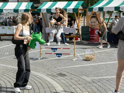 podjetniški bazar PONI LUR  / Foto: Koka Press, Katja Kodba