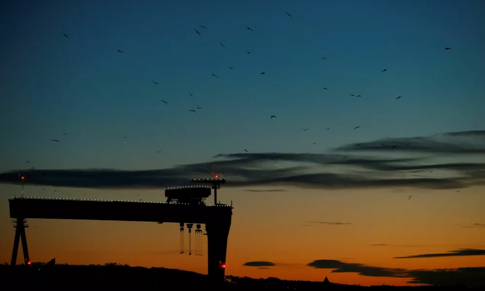 FILE PHOTO: Birds fly around one of the cranes at the Harland and Wolff shipyard at sunrise in Belfast, Northern Ireland, Britain January 1, 2021. REUTERS/Phil Noble/File Photo