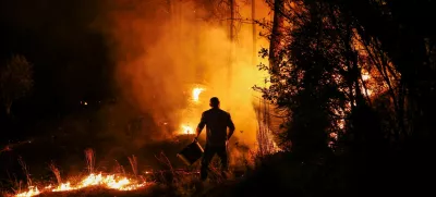 A man holds a bucket during a wildfire in Nelas, Portugal, September 16, 2024. REUTERS/Pedro Nunes