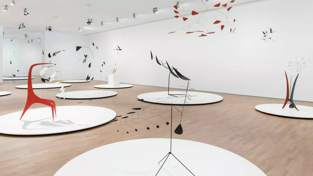 Alexander Calder, razstava, Umetnostni muzej italijankse ŠVice