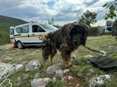 Splitski reševalci so iz globoke jame rešili šarplaninca, ki so mu kasneje poimenovali Jakov. 