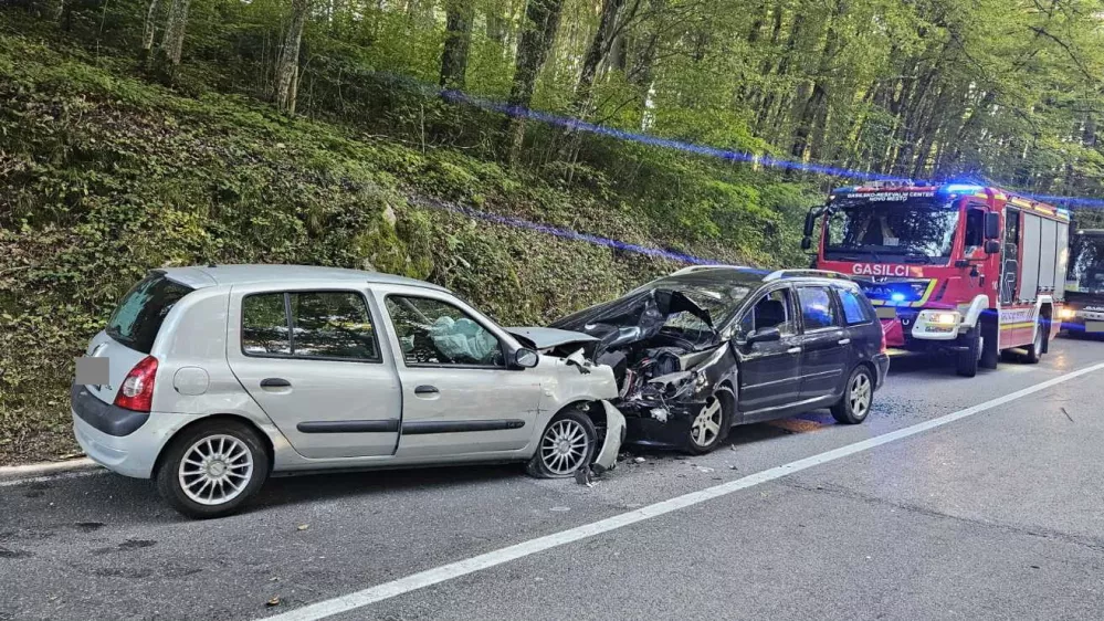 Prometna nesreča PU Novo mesto