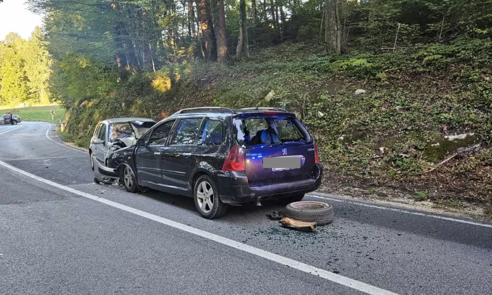 Prometna nesreča PU Novo mesto